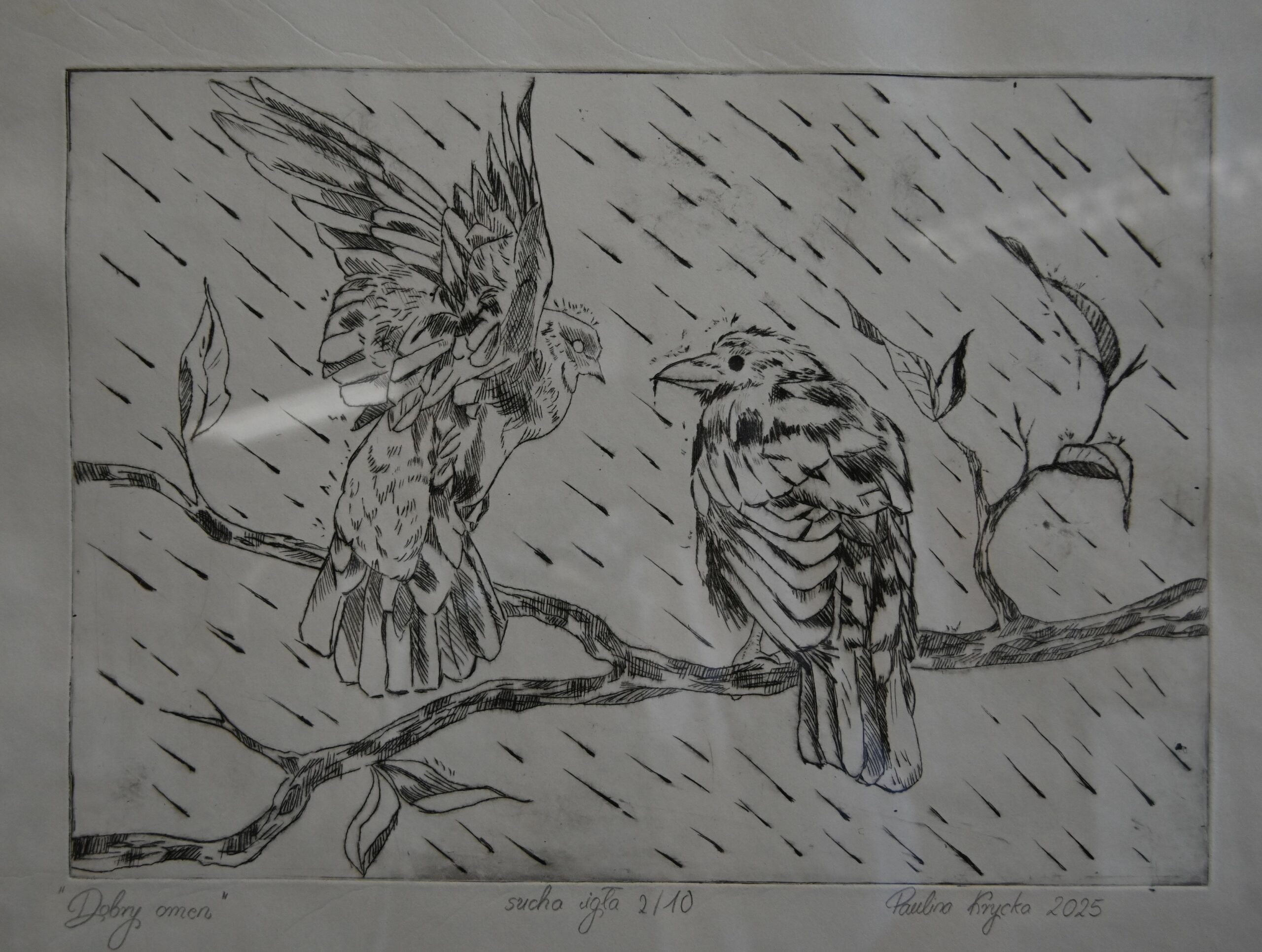 Wystawa prac Pauliny Kryckiej