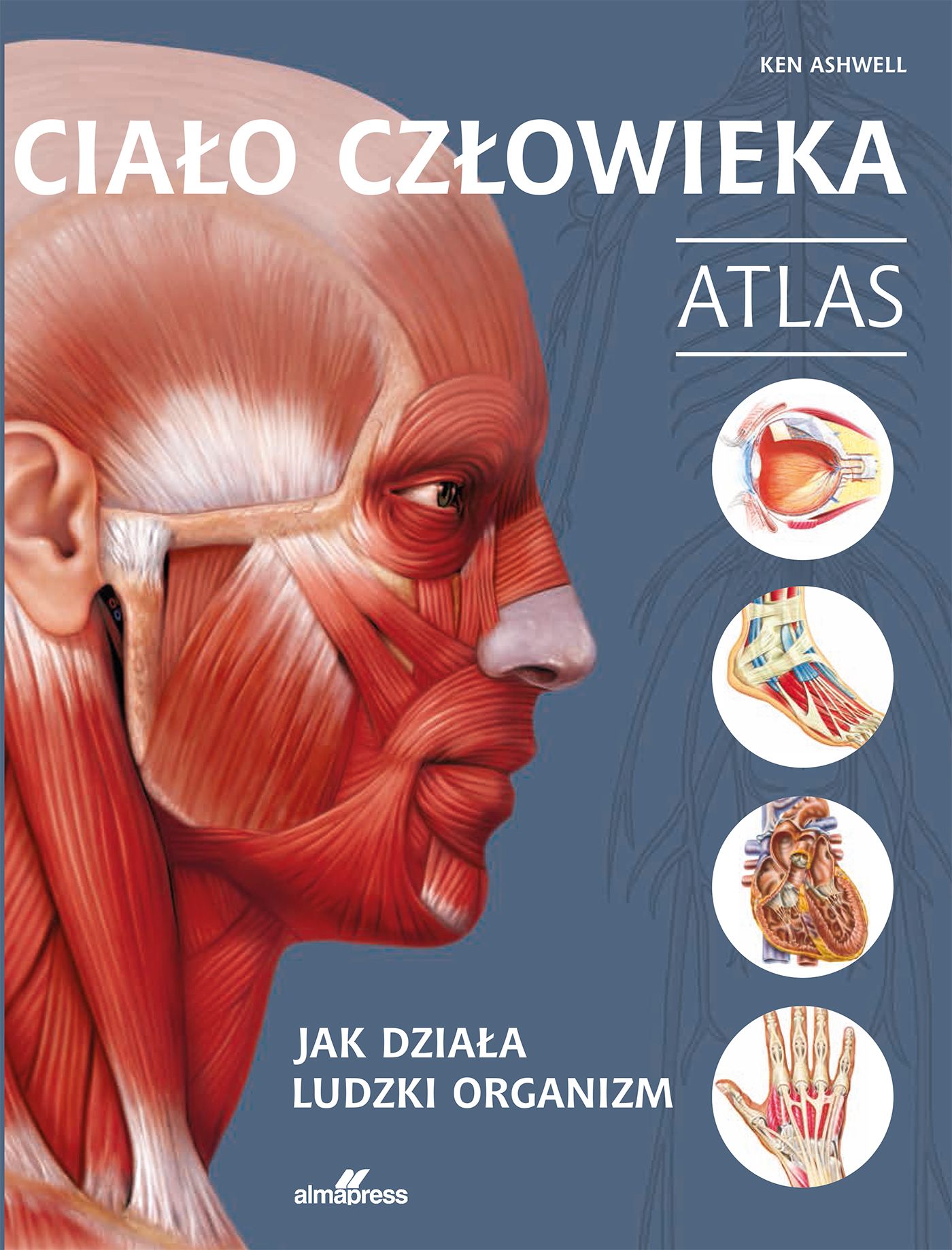 Ciało człowieka : atlas